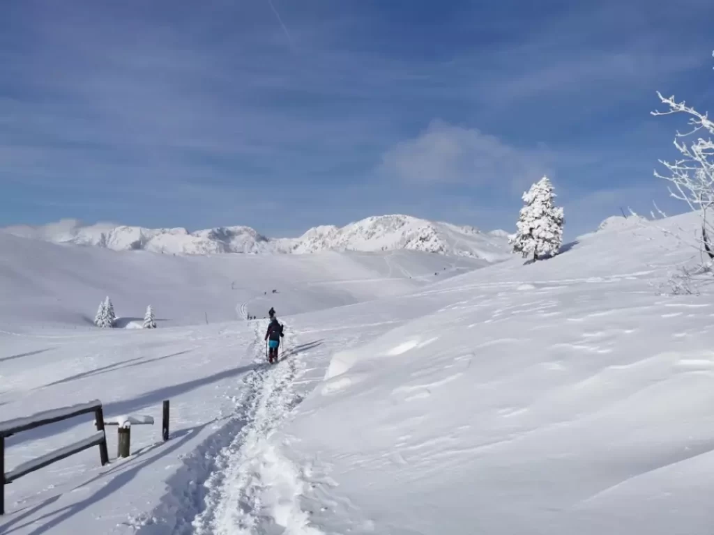 Velika planina pozimi