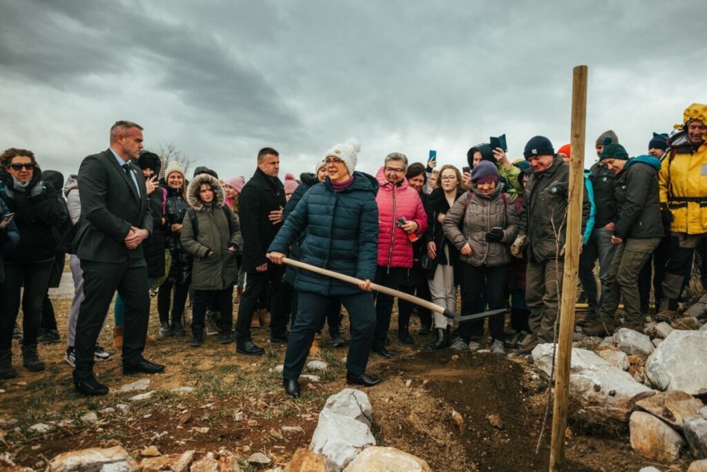 Zveza prijateljev mladine Slovenije. zasaditev dreves Kras