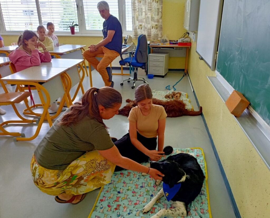 Čarobni dan s knjigo in kužki