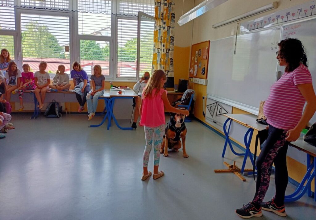 Čarobni dan s knjigo in kužki