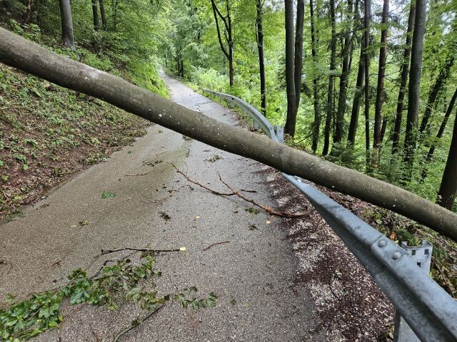 neurje kamnik