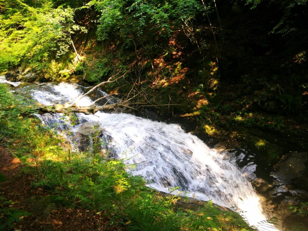 Bistriški vintgar