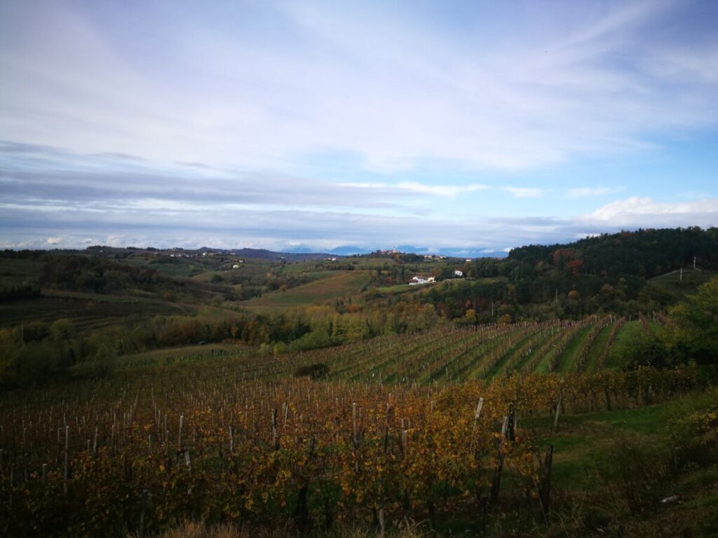 Kožbana