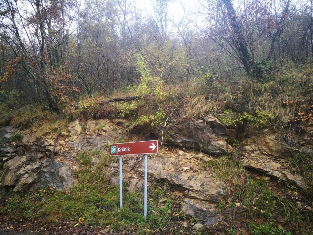 Kožbana