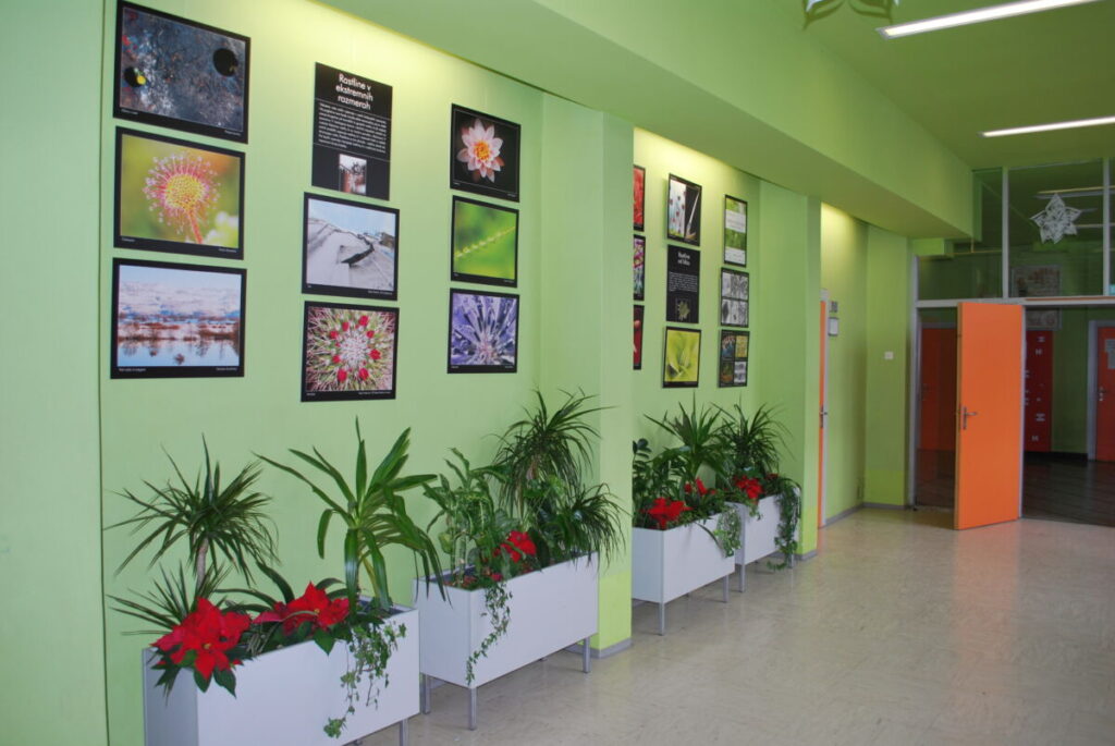 srednja šola domžale