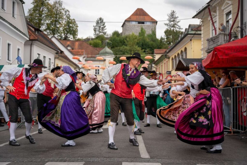 dnevi narodnih noš