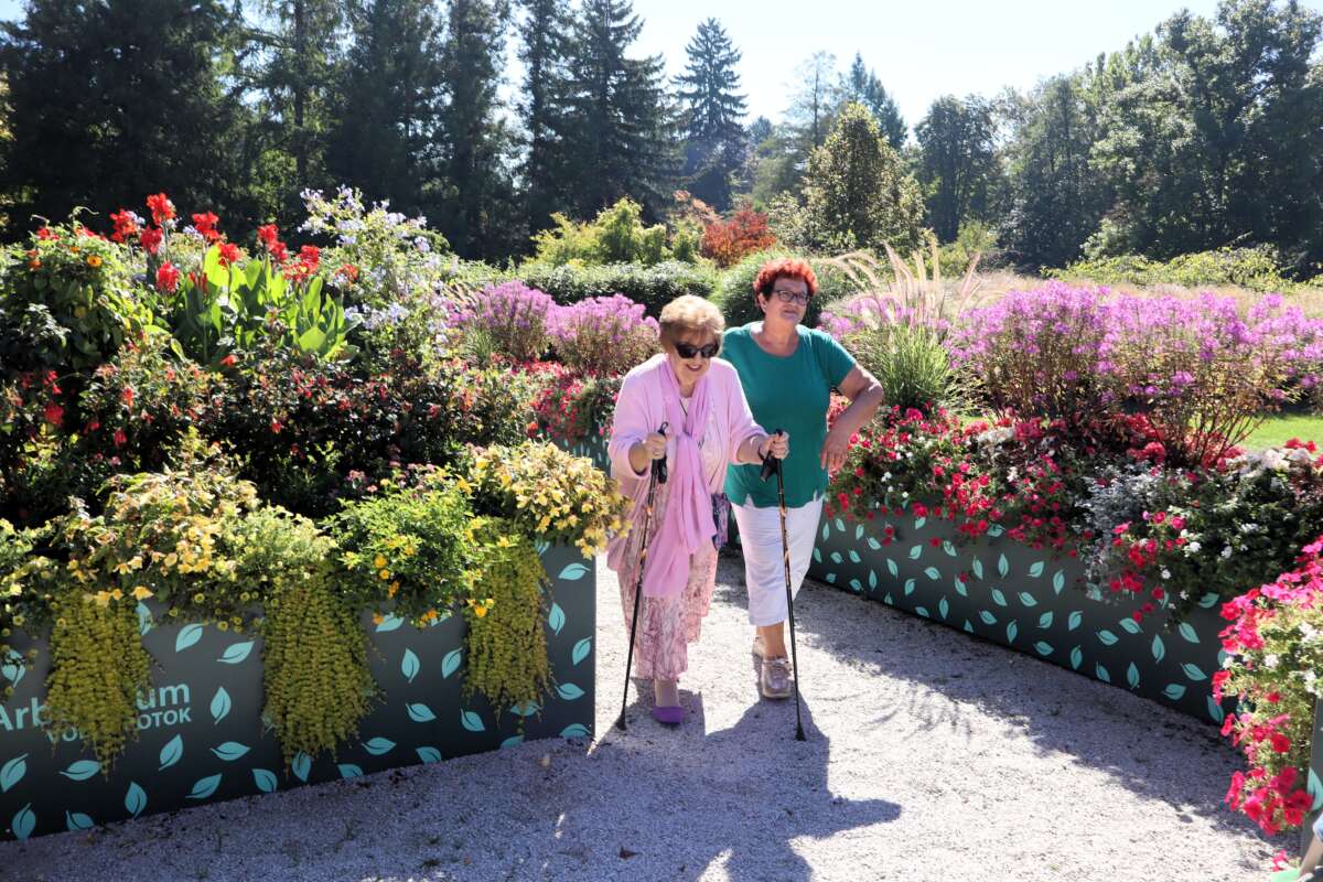 pot za spomin arboretum Volčji Potok pot za spomin arboretum Volčji Potok