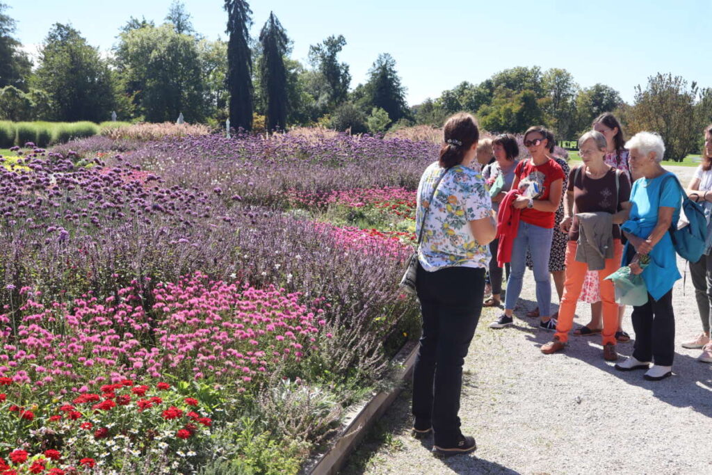 pot za spomin arboretum Volčji Potok