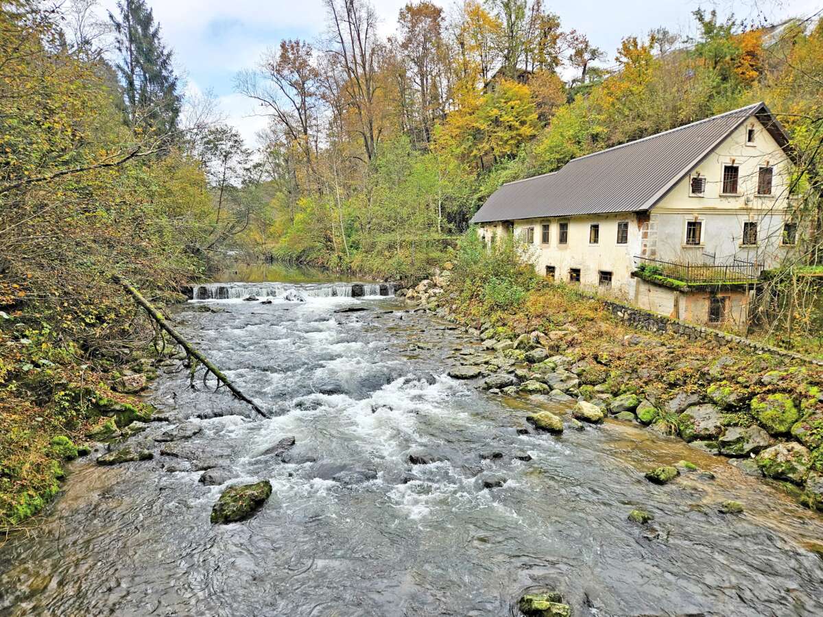 Mamutova pot 5 Mamutova pot