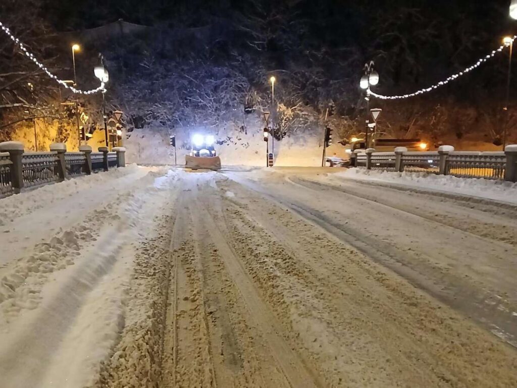 zimska služba