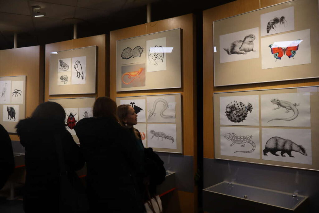 razstava grafičnih oblikovalcev v domžalski knjižnici