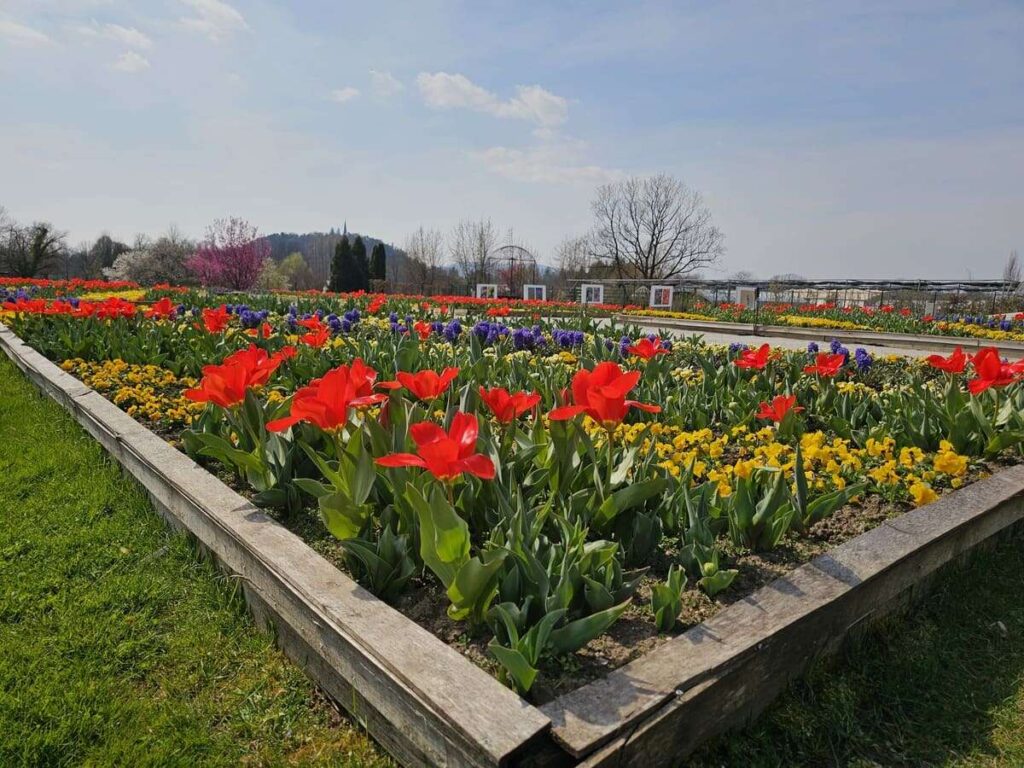 Arboretum Volčji Potok, marec 2026