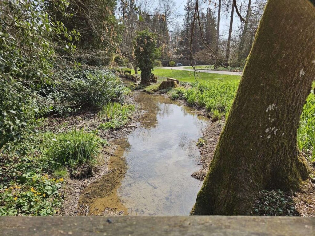 Arboretum Volčji Potok, marec 2026