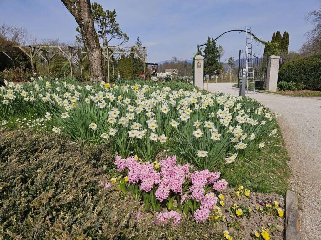 Arboretum Volčji Potok, marec 2026