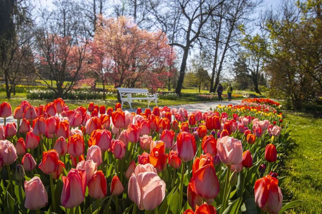 Arboretum Volčji Potok, marec 2026