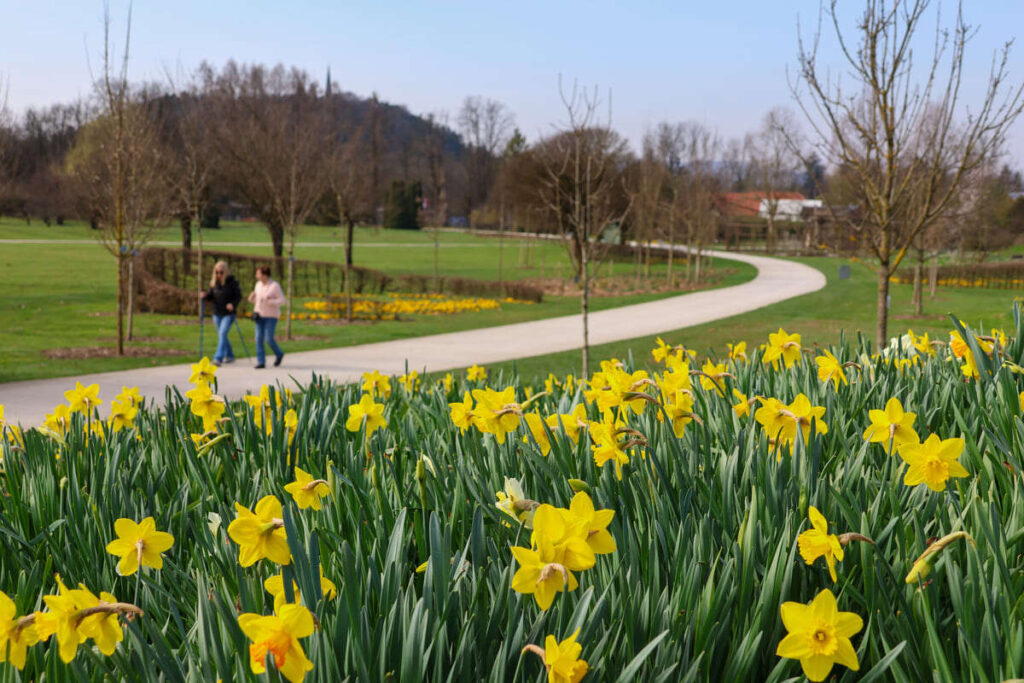 Arboretum Volčji Potok, marec 2026