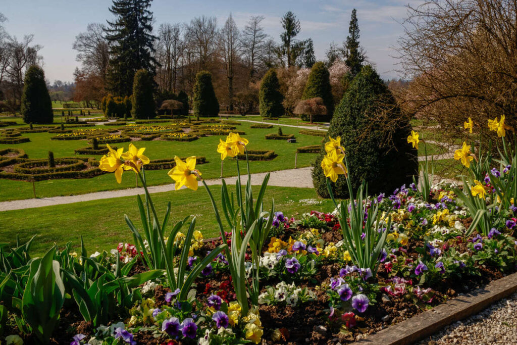 Arboretum Volčji Potok, marec 2026