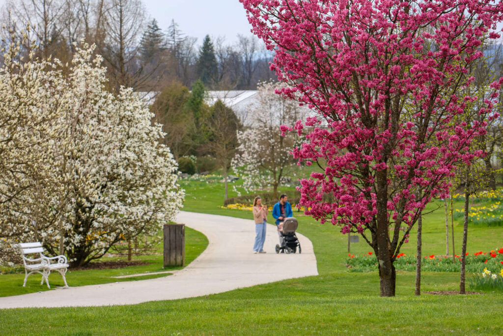 Arboretum Volčji Potok, marec 2026