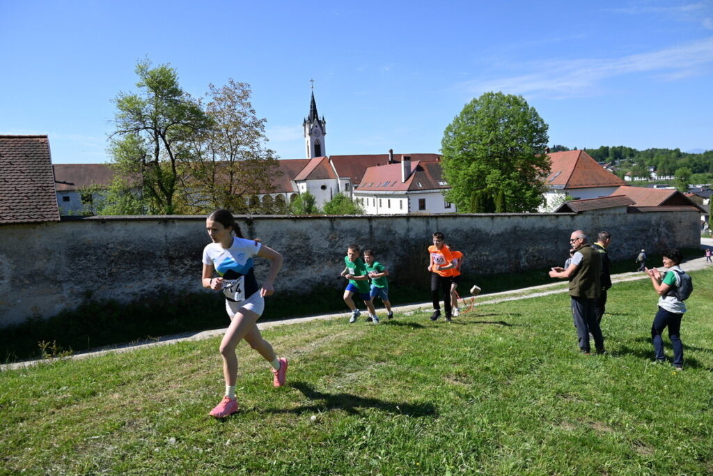 mekinjski kros