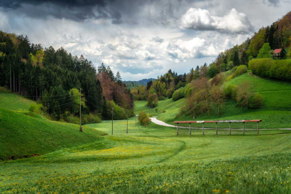 menina planina