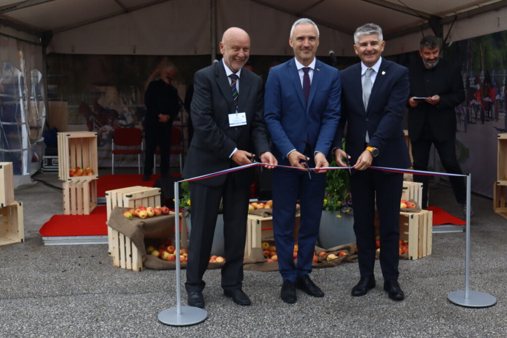 komenda sejem